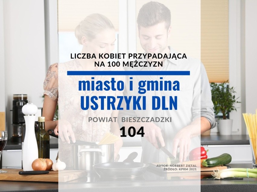 28. miejsce - miasto i gmina Ustrzyki Dolne (powiat...