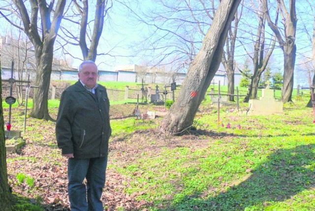 Kazimierz Wróbel, przewodniczący os. Windakiewicza, nieraz interweniował w sprawie pochyłych drzew