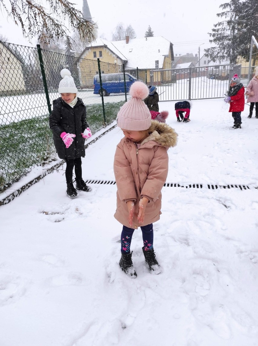 Gostyń. Spadł pierwszy śnieg tej zimy 2020. W końcu zrobiło się biało [ZDJĘCIA] 