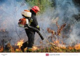 Strażacy znów walczyli z pożarami nieużytków przy Lasku Aniołowskim