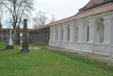 Lapidarium w Lesznie - tej wiosny mur od strony Al. Krasińskiego zostanie otynkowany [FOTO, FILM]