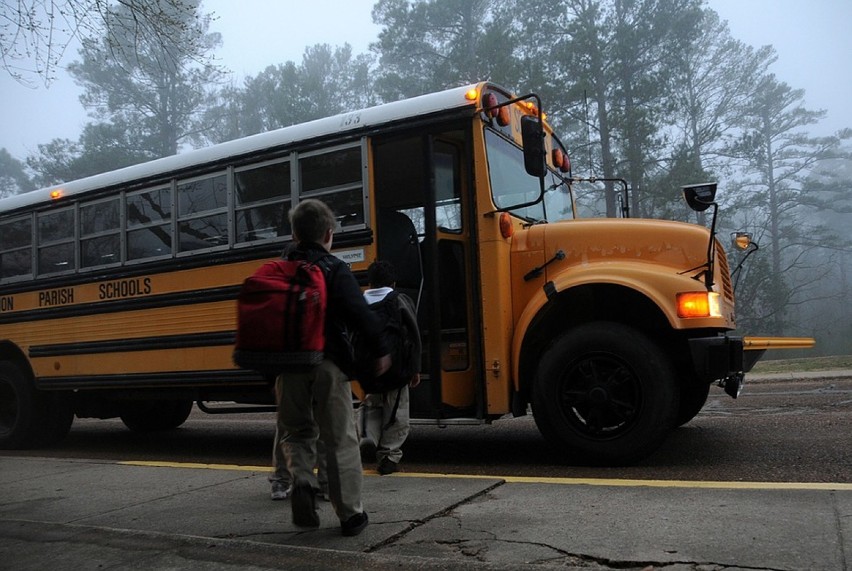 Autobusy szkolne i gimbusy nie są wystarczająco bezpieczne?...