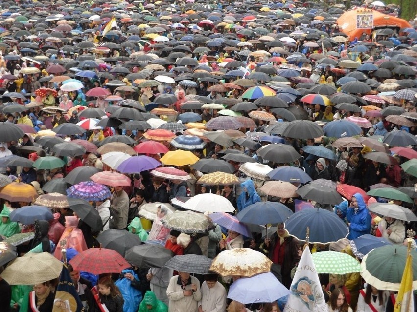 Ponad 100 tysięcy parasoli - taki widok rozpościerał się na...