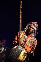 Brave Festival: Abou Diarra & Donko Band z niezwykłymi instrumentami [zdjęcia]