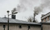 Wymieniamy piece, a smog nie odpuszcza. Co jeszcze musimy więc zrobić by oddychać czystym powietrzem?