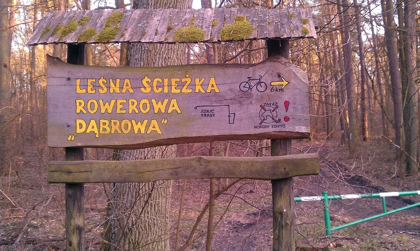 Leśna ścieżka rowerowa "Dąbrowa" - start