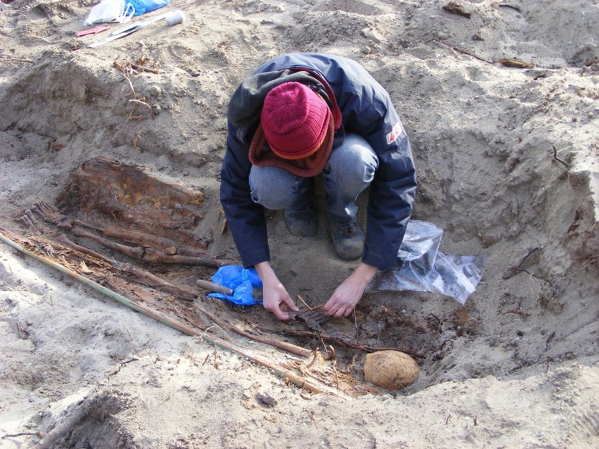 Archeolodzy w trakcie prac nad jedną z mogił