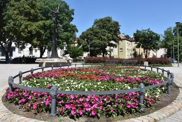 Miasto sadzi kwiaty. Są wśród nich m.in. różne rodzaje begonii, pacioreczniki, pelargonie, goździki, niecierpki. Na jesieni na skwerach pojawią się też bratki