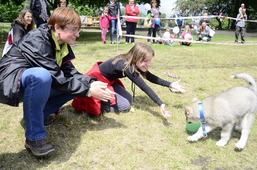 Piknik z psem na podzamczu (ZDJĘCIA)