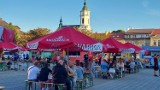 Potrawy z całego świata na Rynku w Ostrowcu. Street Food Polska Festival cieszył się w sobotę dużym zainteresowaniem. Zobacz zdjęcia