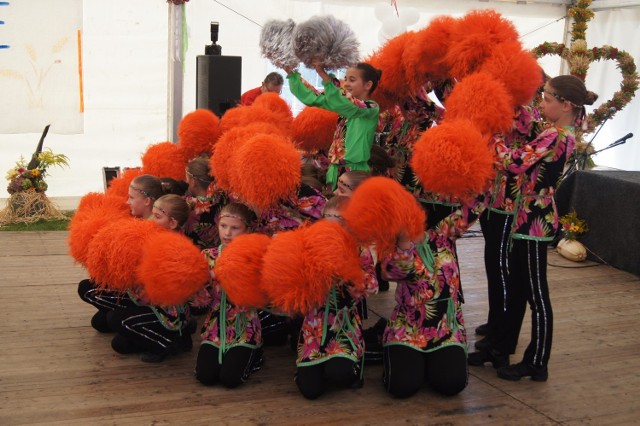 Dożynki Gminy Nędza w Babicach