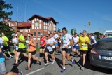 Bieg Zamoyskiego: kilkaset biegaczy stanęło na starcie w Kórniku [ZDJĘCIA]