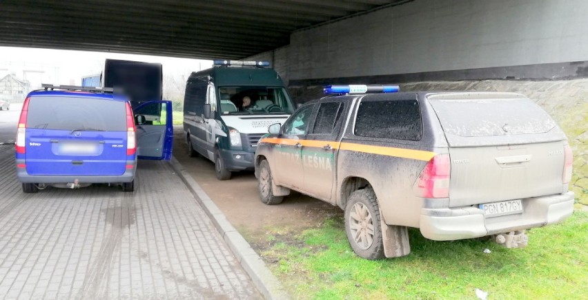 ITD Gniezno: za ciężkie transporty drewna - kierowcy dostali...