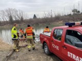 Dębica. Tragiczny finał poszukiwań 30-letniej mieszkanki Straszęcina