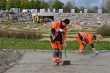 Zobacz Ogród Botaniczny, okazja będzie w weekend 20 - 21 października