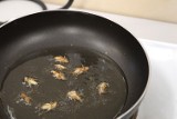 Jak smakują owady? Pieczone karaczany i prażone larwy są zdrowe