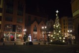 Elbląg w świątecznym klimacie - iluminacja Bramy Targowej, choinki i rozświetlone ulice wprowadzają świąteczny nastrój [zdjęcia]