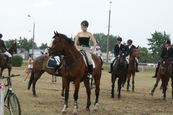 Dni Konina 2013. VIII Regionalne Zawody w skokach przez przeszkody Grene Cup 2013 [ZDJĘCIA]