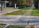 Kraków. Nastolatka potrącona przez tramwaj. Tramwaje nie jechały do Cichego Kącika