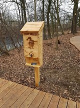 Wrocław ma już automaty do karmienia ptactwa. Czy podobny pomysł przyjmie się w Oleśnicy?