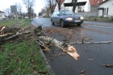 Wichura na Żywiecczyźnie. Silny wiatr łamie drzewa w powiecie