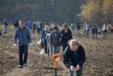 Krakowianie posadzili 25 tys. drzew z okazji Nobla dla Olgi Tokarczuk [GALERIA]