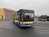 Komunikacja Miejska w Płocku w okresie bożonarodzeniowym. Jak będą kursować autobusy w święta?
