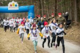 „Tropem Wilczym” pobiegli w bydgoskim Myślęcinku. Na jubileusz biegu były atrakcje [zdjęcia]