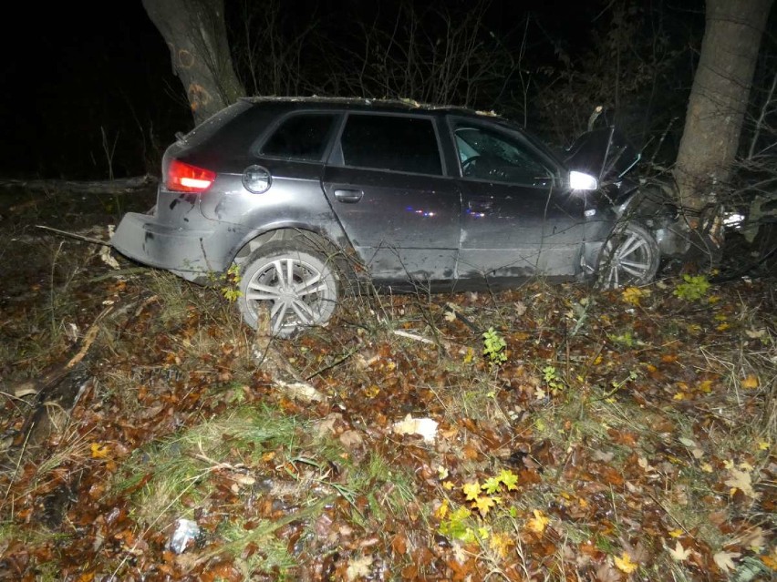 Wypadek na trasie Stary Bukowiec - Stawiska na drodze wojewódzkiej nr 214. Kierowca audi uderzył w drzewo