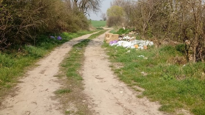 Głogów: Kto zostawia góry śmieci przy polnej drodze do Szczyglic?