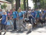 Psistanek 2016 Gliwice. W Parku Chopina wielka impreza dla miłośników zwierząt