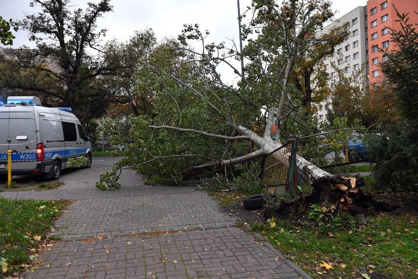 Prognoza pogody. Na polską złotą jesień nie mamy co liczyć 