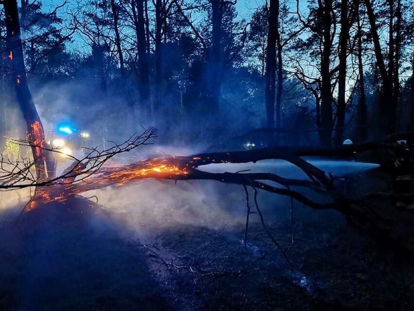 Pożar lasu nad jeziorem Piaszczystym