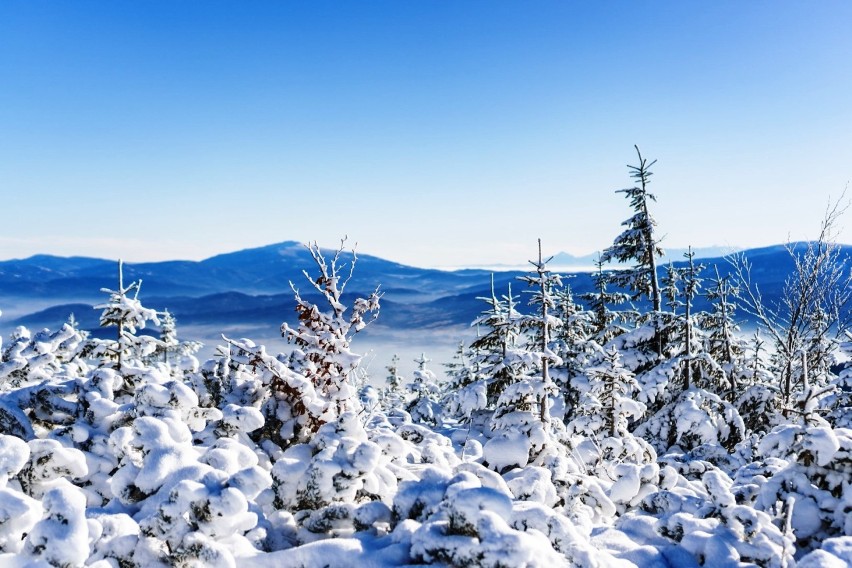 Alpejska pogoda w Beskidach. Słońce, błękit, śnieg i mróz. I mnóstwo turystów w Szczyrku, Bielsku-Białej, Wiśle i Korbielowie