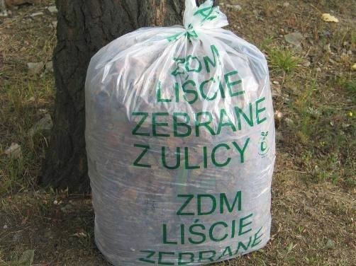 ZDM Poznań rozdaje worki na suche liście