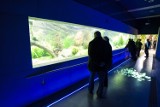 Oceanarium w Warszawie. ZOO chce wprowadzić nowości. Pojawi się też wybieg afrykański?