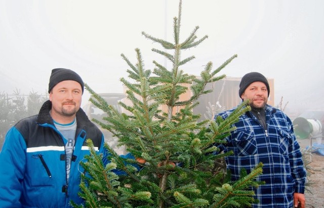 Mariusz Skowroński i Sławomir Całus sprzedają choinki z własnej plantacji