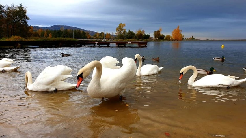 Jezioro Bielawskie cudowne w październiku 2022