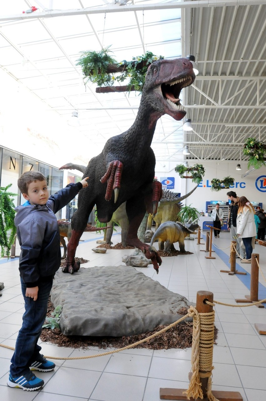 Potężne dinozaury można oglądać w hipermarketach E.Leclerc...
