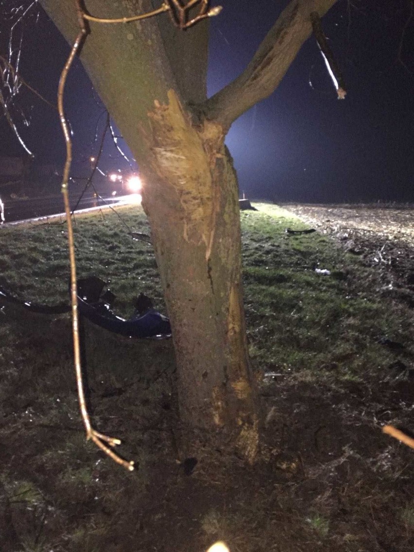 Wypadek pod Gołańczą! Kierująca autem kobieta straciła panowanie, uderzyła w drzewo... Co ustaliła policja?