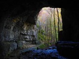 Uwaga na nietoperze zimujące w jaskiniach. Przyrodnicy apelują o nieodwiedzanie jaskiń do wiosny