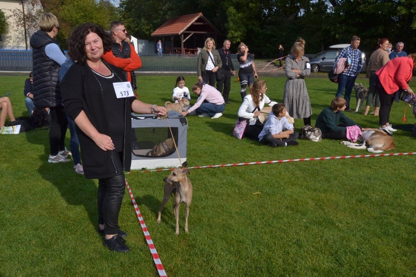 W Lipnie odbyła się  XXXII Krajowa Kujawska Wystawa Psów...