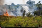 Pożar w Łęgu pod Częstochową. Paliło się 8 ha lasu [zdjęcia]