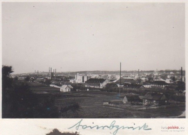 Widok ogólny Wierzbnika w roku 1940.