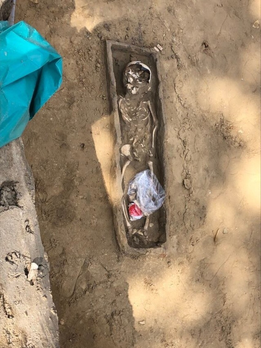 Ludzkie szkielety odkryto w Działoszynie w trakcie przebudowy drogi. Trwają badania archeologiczne FOTO