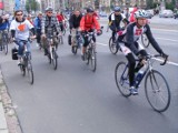 Think Bike Poznań – Holendrzy będą nas zachęcać do jazdy rowerem
