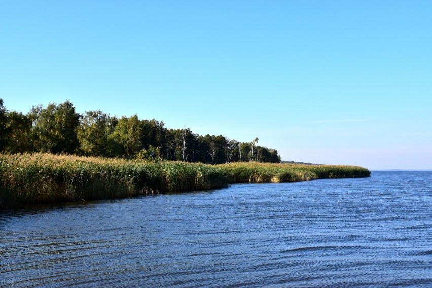 Jesienny spacer nad Zalewem Szczecińskim. Turyści w Trzebieży i w marinie