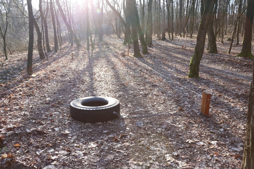 Mieliście przyjemność odwiedzić już Park Braniborski w...