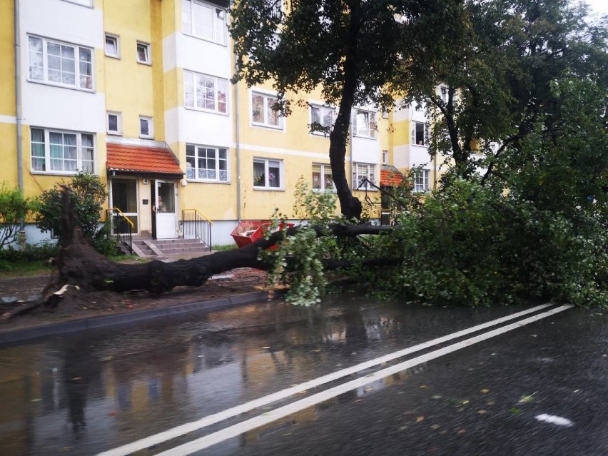 Krajobraz po burzy. Setki interwencji straży pożarnej we Wrocławiu i na Dolnym Śląsku (ZDJĘCIA, FILM)