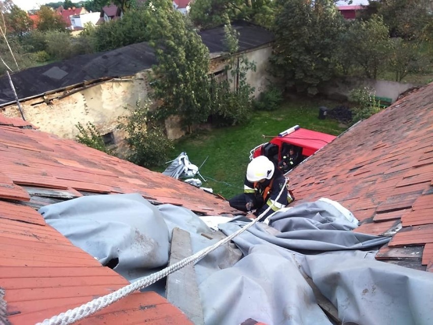 Dolny Śląsk. Po wichurze strażacy interweniowali 665 razy. Zobacz zdjęcia! 